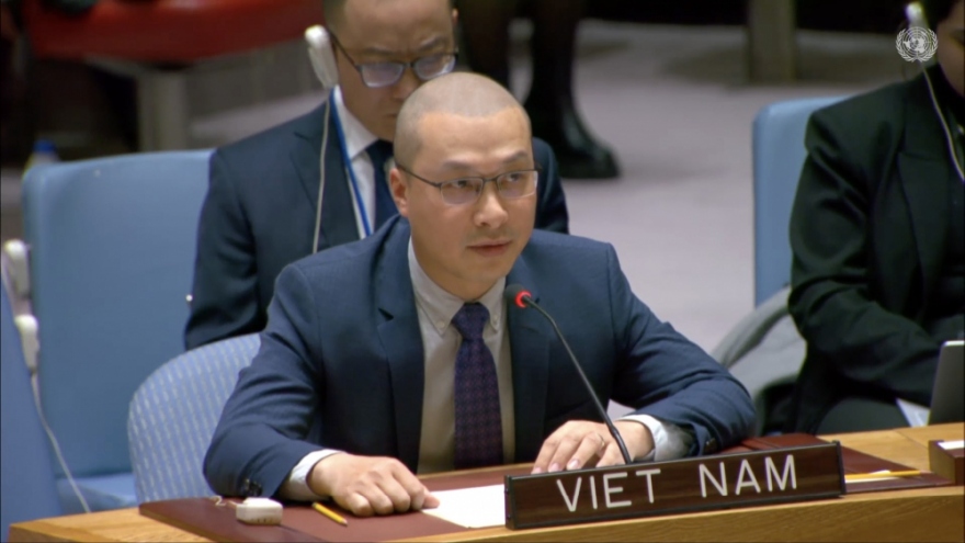 Vietnam continues to call for ceasefire in Gaza Strip